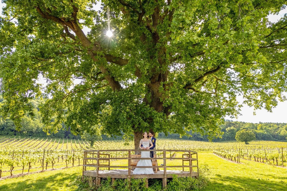 Gallery Item 12 for Denbies Wine Estate