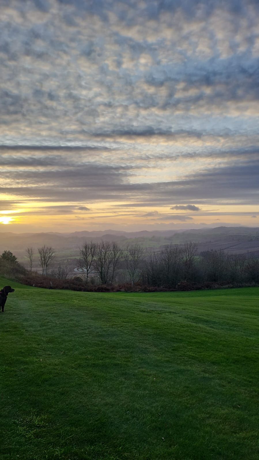 Gallery Item 10 for LLANYMYNECH GOLF CLUB
