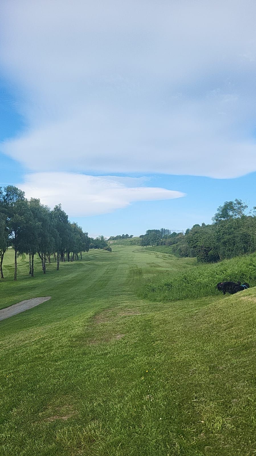Gallery Item 3 for LLANYMYNECH GOLF CLUB